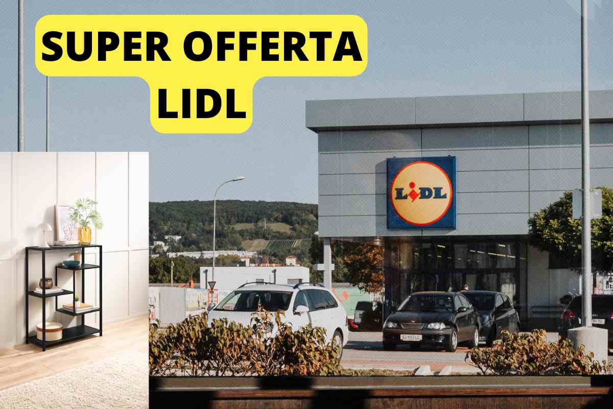 Addio disordine in casa soluzione LIDL