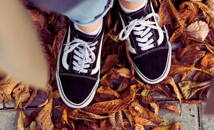 scarpe nere su foglie secche