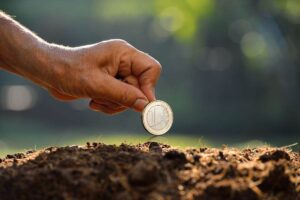 mano che inserisce monetina nel terreno